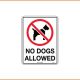 General Sign - No Dogs Allowed