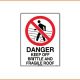 Access Sign - Danger Keep Off Brittle And Fragile Roof
