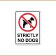 General Sign - Strictly No Dogs